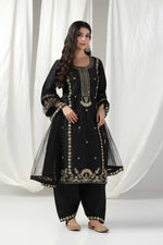 Load image into Gallery viewer, Elegant dori hand embroidered suit with salwar and dupatta